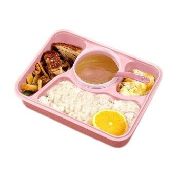 Japanese Box With Food Pink Color