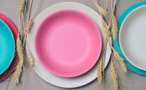 Biodegradable Tableware Wheat Straw Eco Friendly Plates