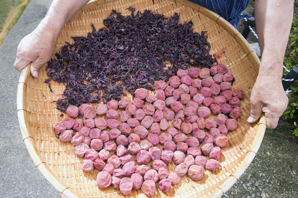 Umeboshi in old style