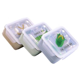 Gel-Cool Plus Dome S Clear Lunch Box – Sampoyoshi